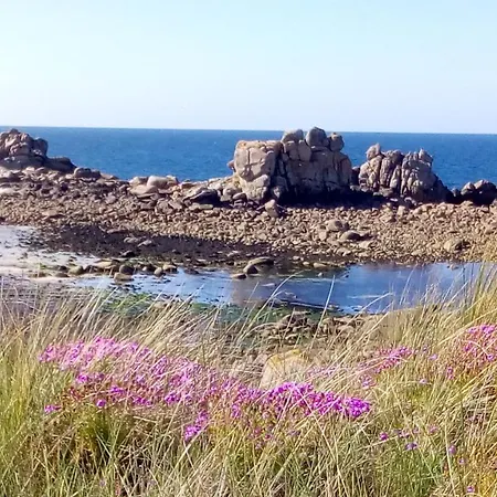 Tiny House Sur La Cote Bretonne Hébergement de vacances